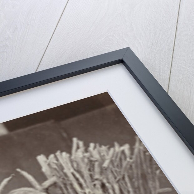 Portrait of a Java, Indonesianese man with collected wood, Indonesia by Anonymous