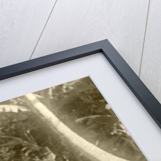 Portrait of a soldier with horse in the Dutch East Indies, Indonesia by Anonymous