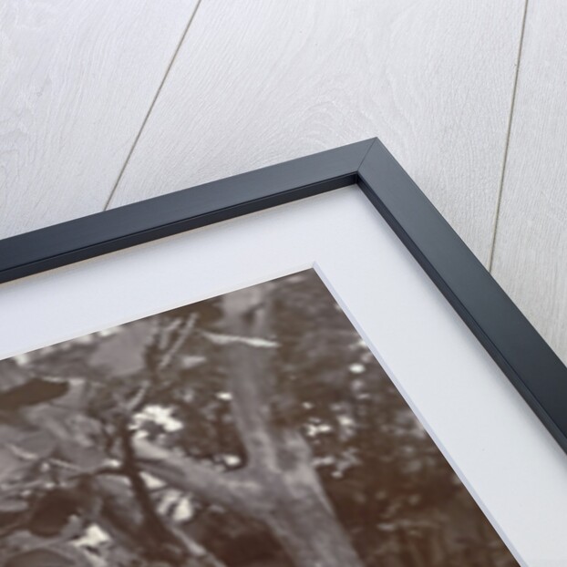 Portrait of Surinamese nanny with two white children by Augusta Curiel