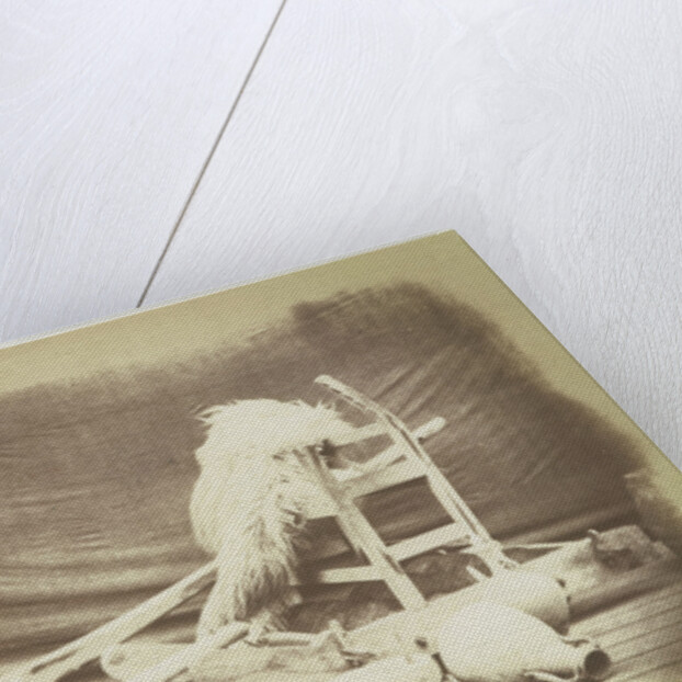 Agricultural Implements. Egypt by Hugh Owen