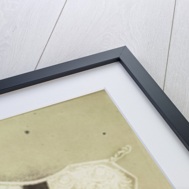 Embroidered Saddle Cloth. Turkey by Hugh Owen