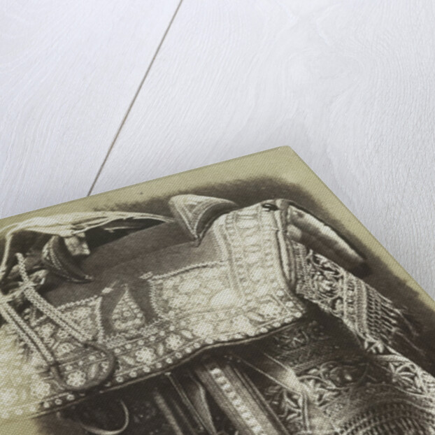 Embroidered Saddle by Hugh Owen