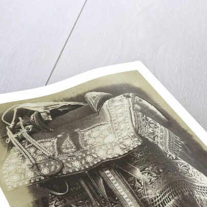 Embroidered Saddle by Hugh Owen