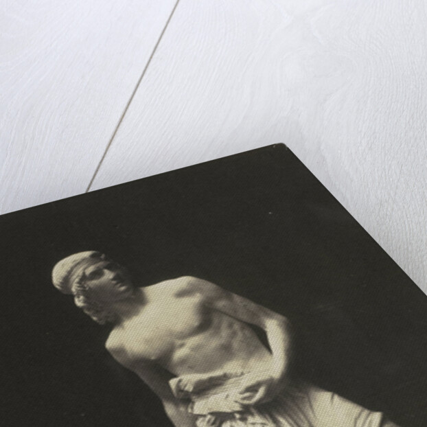 David. (Marble) Fraccaroli by Anonymous