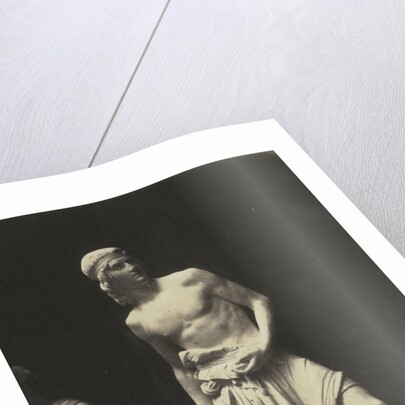 David. (Marble) Fraccaroli by Anonymous