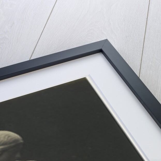 Glycera by C.M. Ferrier & F. von Martens