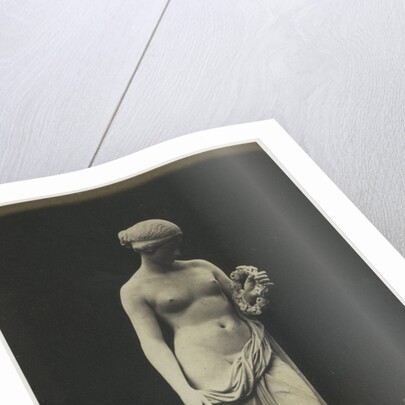 Glycera by C.M. Ferrier & F. von Martens