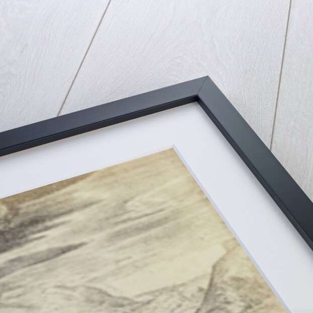 Sections by Edmond Fierlants