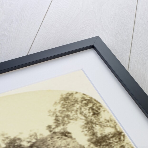 Goodrich Castle by Francis Bedford