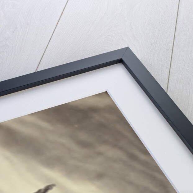 Stones can frame, from the Louvre by Charles Thurston Thompson