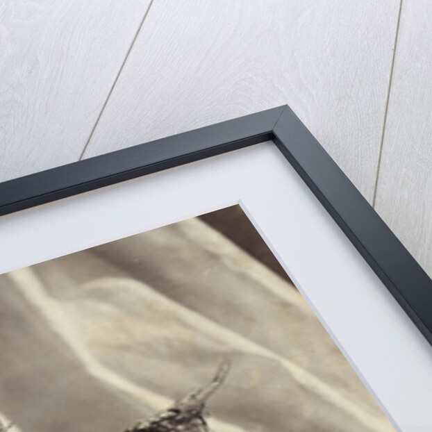 Stone shell-shaped bowl with dragon, from the Louvre by Charles Thurston Thompson