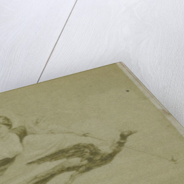 Virgil scene from the Aeneidos, Juno with the peacock in the air by F. Barrias