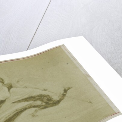 Virgil scene from the Aeneidos, Juno with the peacock in the air by F. Barrias