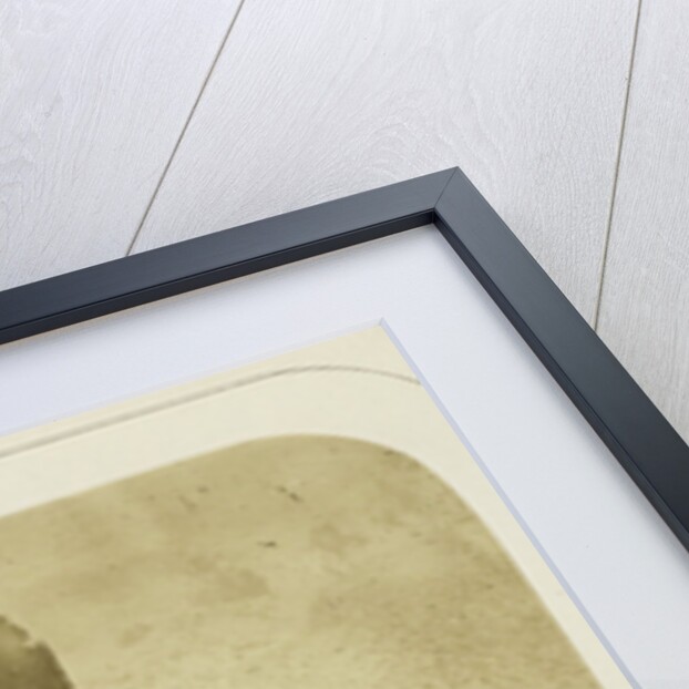 Cliff and floor of the Great Crater under Mount Guajara by Lovell Reeve