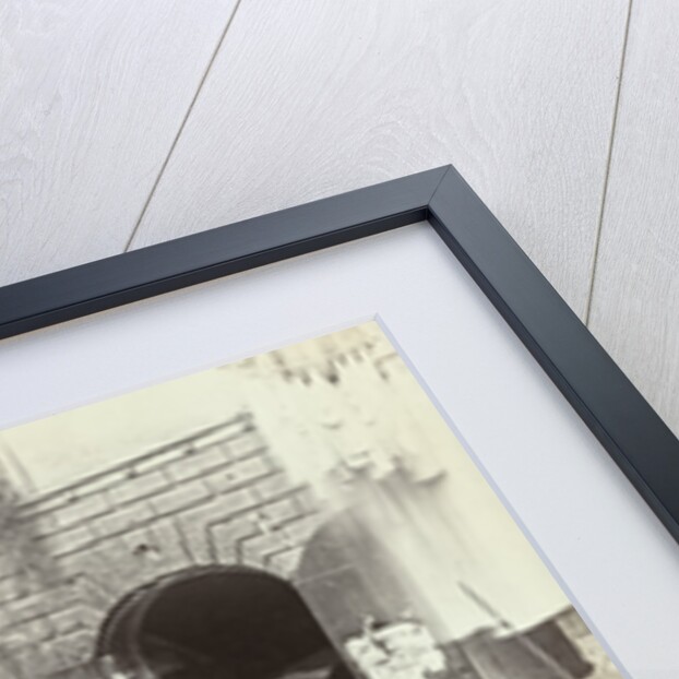 Fontana delle Tartarughe by Anonymous