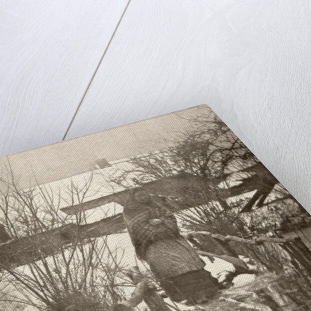 Woman on a bridge in a winter landscape by Peter Henry Emerson