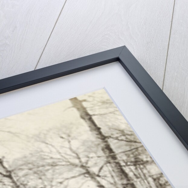 Tree Study by Hendrick Hondius I