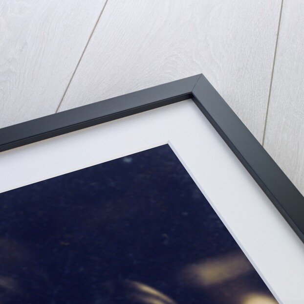 Portrait of Lise Jordan by Willem Witsen