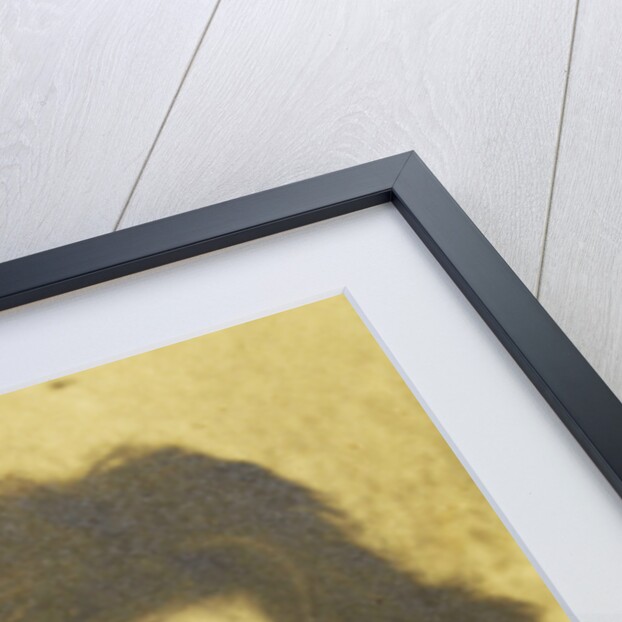 Portrait of the Writer and Poet Willem Kloos by Willem Witsen