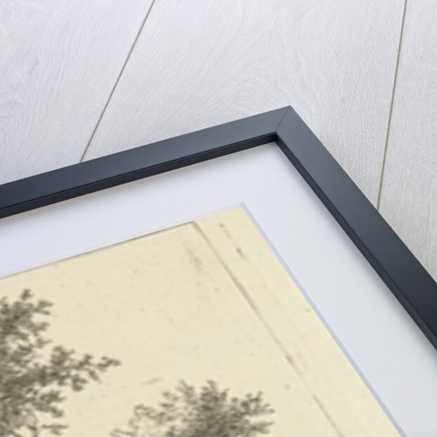 Ruin of the house Snaatburg Maarssen by Anthonie van den Bos