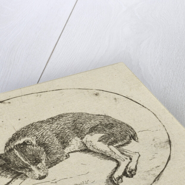 Lying dog by Anthonie van den Bos