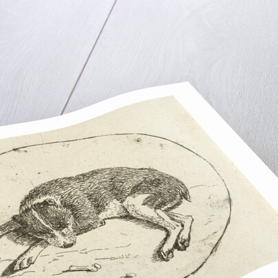 Lying dog by Anthonie van den Bos