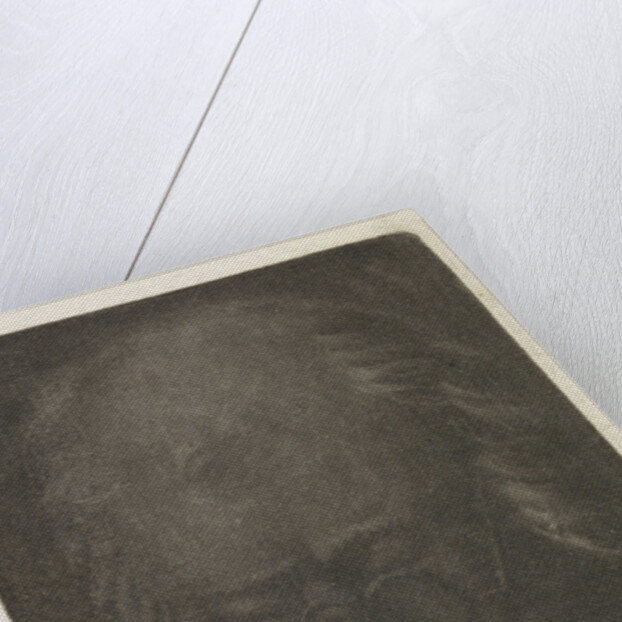 Head of an old man with glasses by Anthonie van den Bos