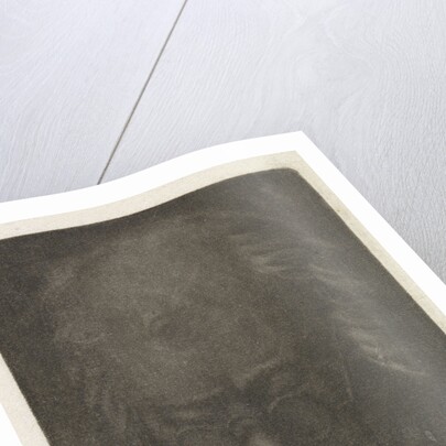 Head of an old man with glasses by Anthonie van den Bos