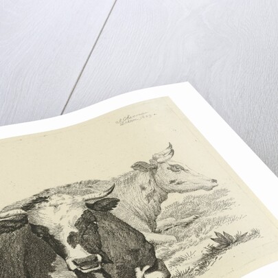 Two cows lying in front of a tree by Anthony Oberman