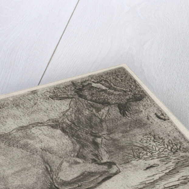 lying goat by Jabes Heenck