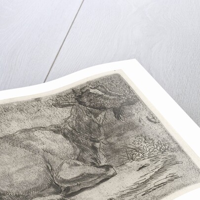 lying goat by Jabes Heenck