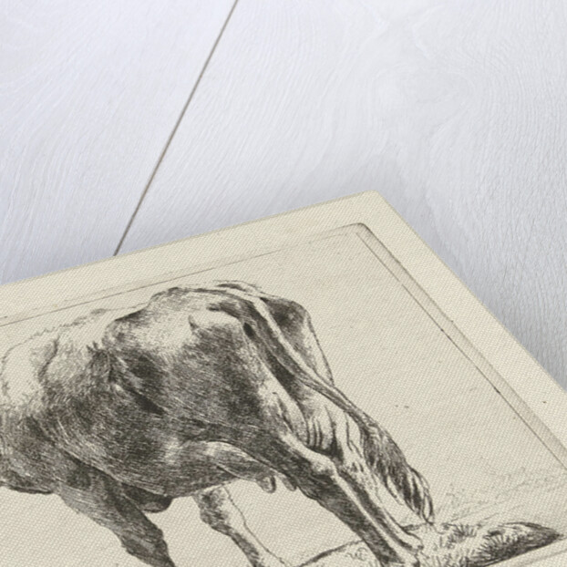 Standing cow by Jabes Heenck