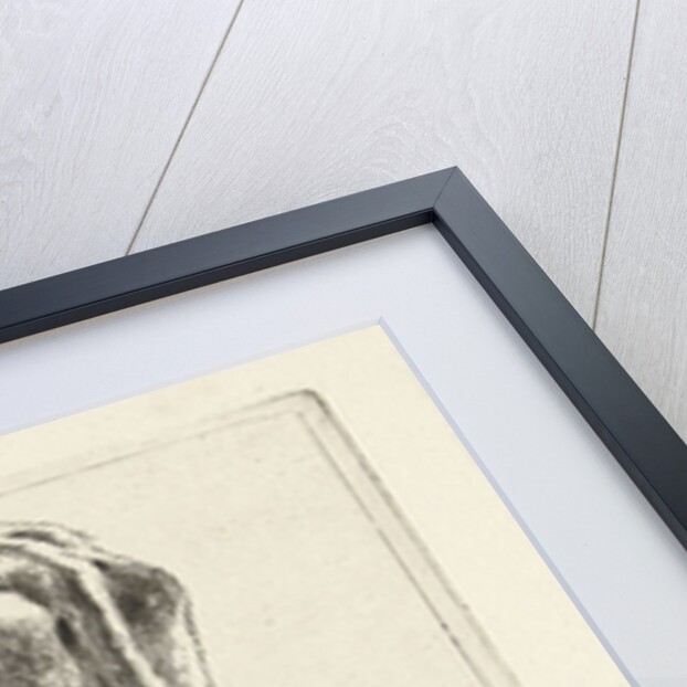 Standing cow by Jabes Heenck