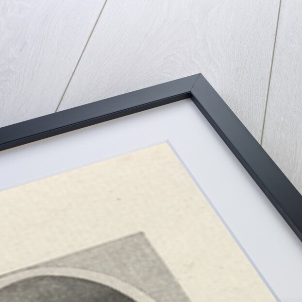 Portrait of Louise de Coligny by Carel Jacob de Huyser