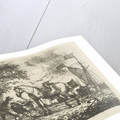 Horse Feeding by D. Langendijk