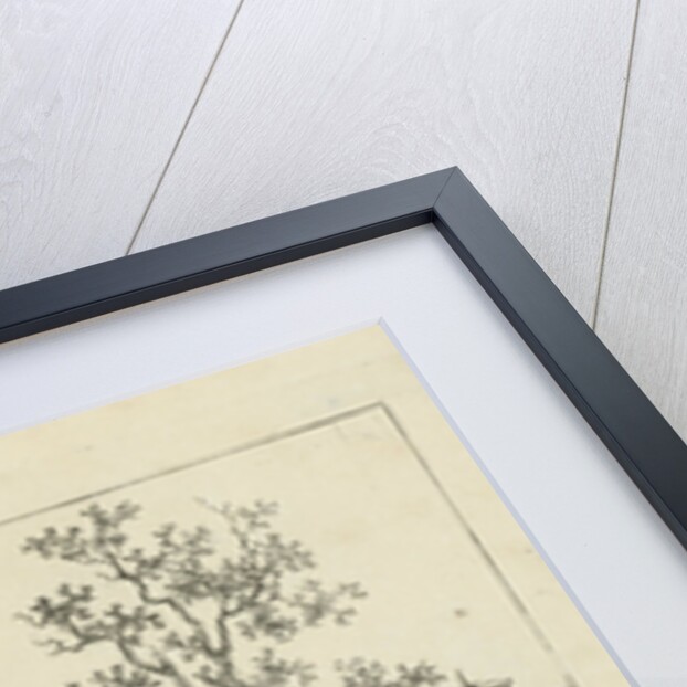 milker by Jan Kobell III