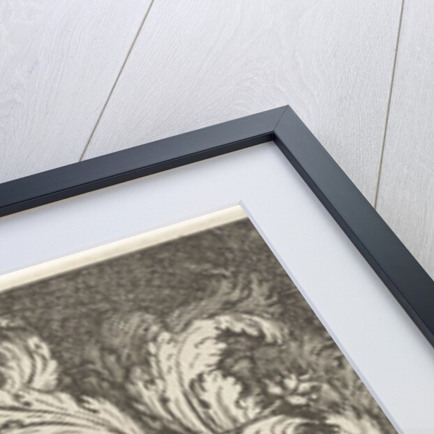 ornamental medallion by Gerard de Lairesse