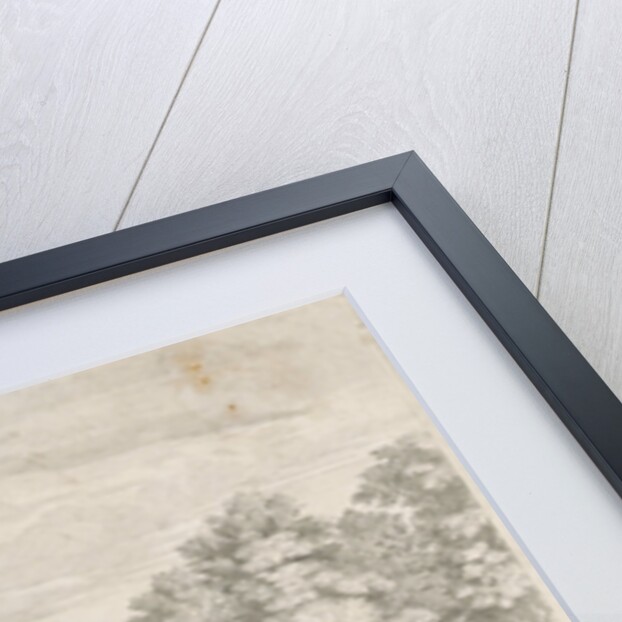 Orangery Honselersdijk, seen from the park by Pieter Loofs