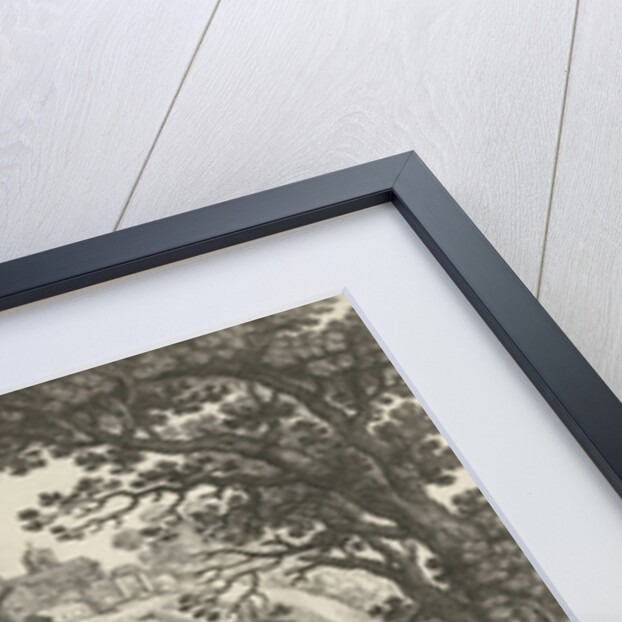 Miraculous fishing by Antoine Bonenfant