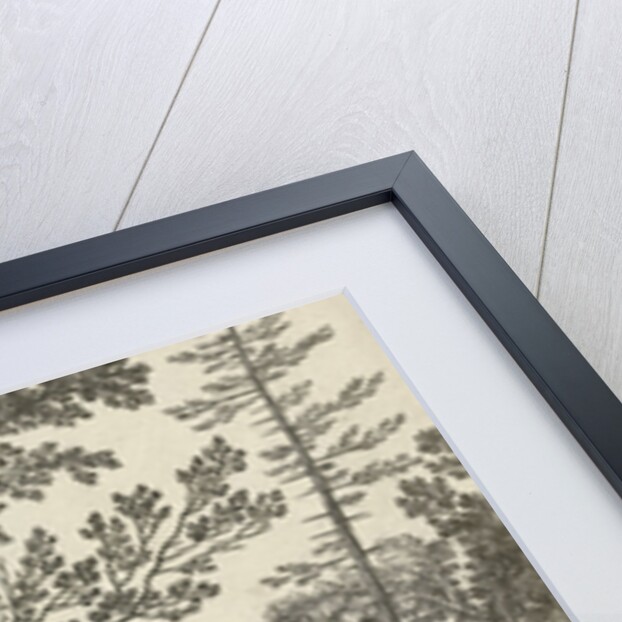 Voyager is attacked by robbers by Franse kroon