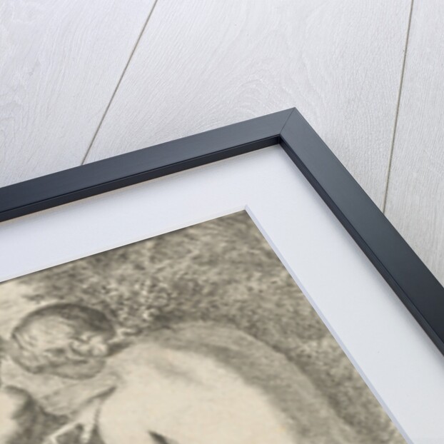 Diana and Venus by Pieter van der Plas II