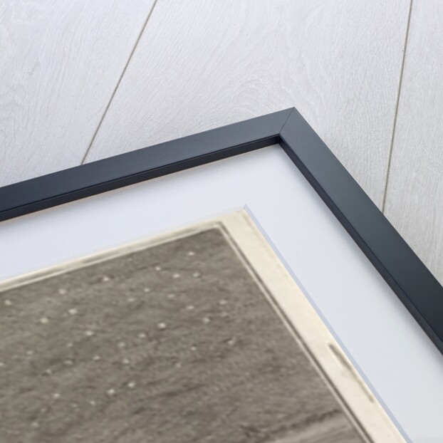 Comet above Amsterdam, The Netherlands, 1769 by Aert Schouman