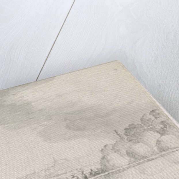 Transport of hay on a river with Haarlem, The Netherlands in the distance by Jan van de Velde II