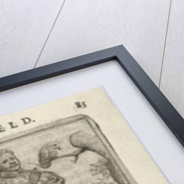 Black man with a bird on a branch by Arnold Houbraken