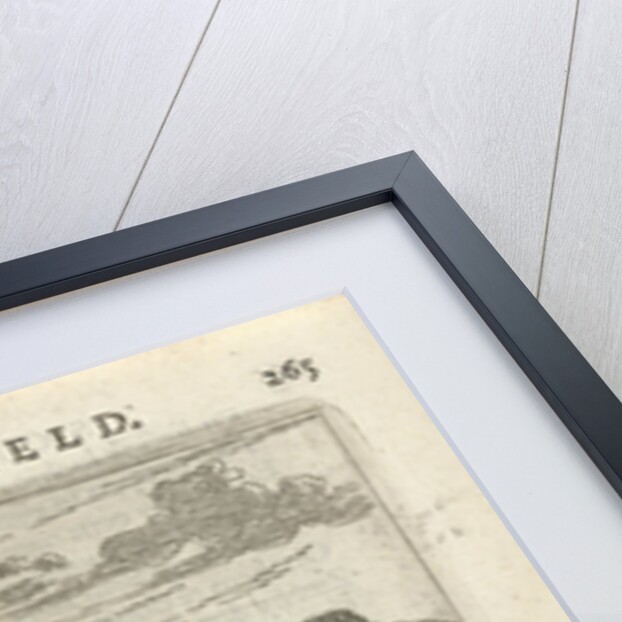 Man sneaks a porcupine by Arnold Houbraken