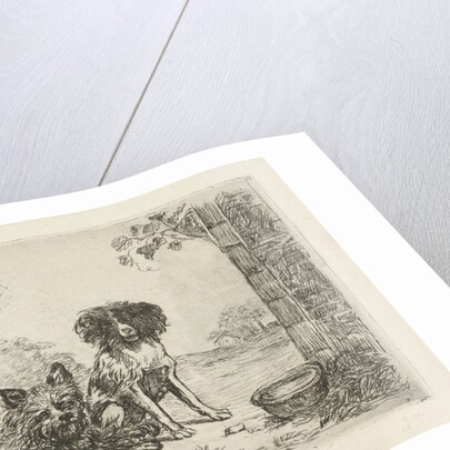 Two dogs by David van der Kellen II