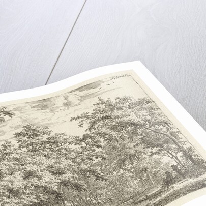 Two figures near the water in the wood by Adrianus Serné