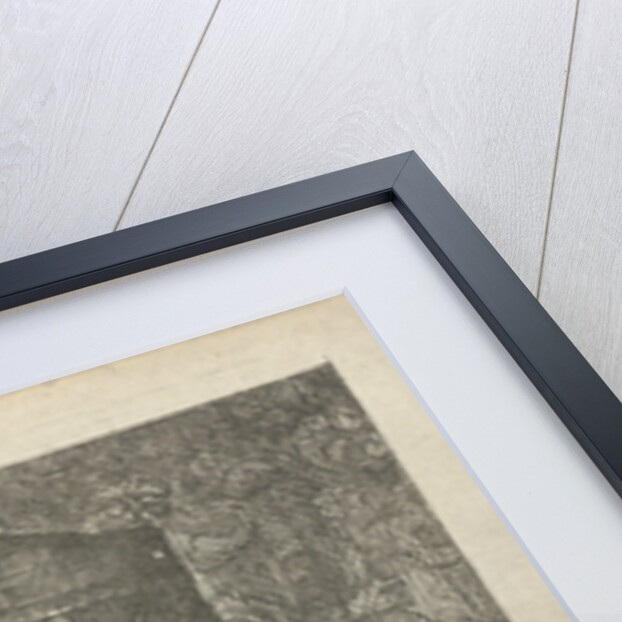 Aristodemus prince of Cuma betrayed by Xenocrite by Arnold Houbraken