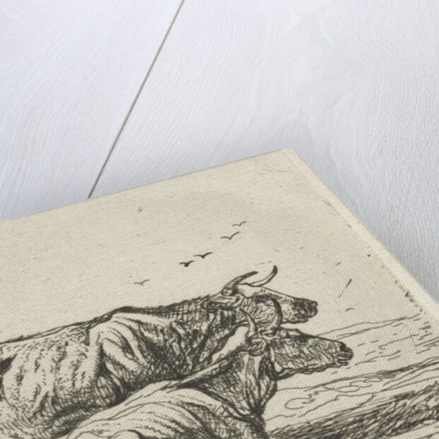 Two cows by Aelbert Cuyp