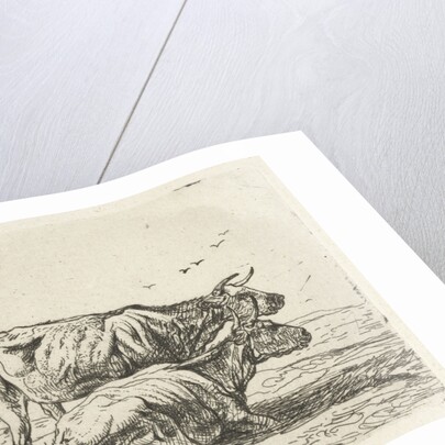 Two cows by Aelbert Cuyp